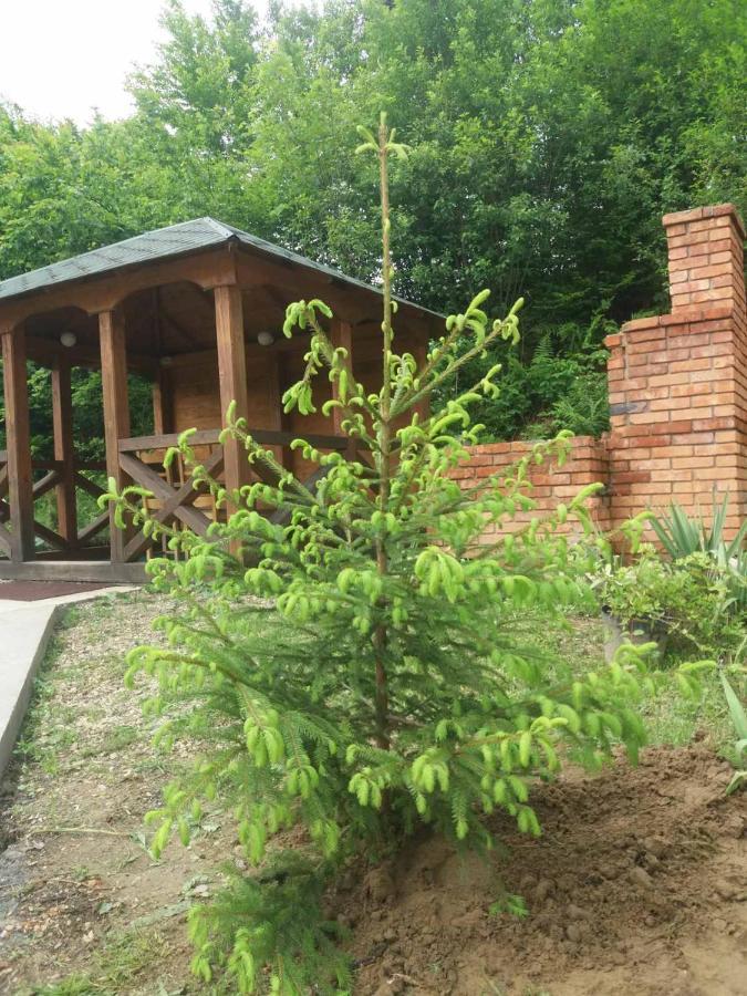 Villa Na Uzlissi Myhove Eksteriør billede